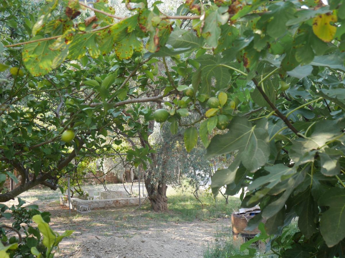 O Pyrgos Accommodations Panormos  Kültér fotó